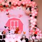 Celebrate with Joy and Rustic Charm at our Farm Fun Festivity