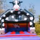 Theme Bouncy for Kids Party — photo 6