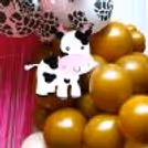 Step into a World of Farmyard Fun at the Birthday Party