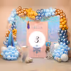 Embark on a Frozen adventure with our enchanting birthday decor