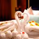 "Experience a touch of elegance with our charming room decorations."