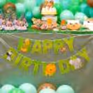 Go Wild with Our Safari Adventure Birthday Package