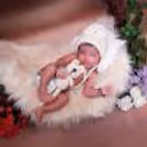 Elegant Album: A peek into our luxurious 12″ x 18″ photo album