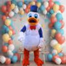 Premium live cartoon character decor for kids birthday party, adding magical entertainment and fun.