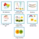 Rainbow Full Package Decor