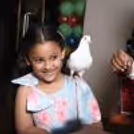 Animal Magic Delights: Perfect for Kids' Birthday Celebrations