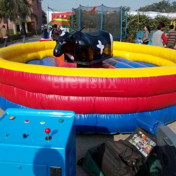 Bull ride adventure: The ultimate party attraction