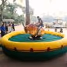 Experience the wild side with a bull ride at your event