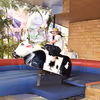 Bring the rodeo to your party with an exciting bull ride