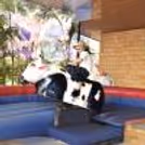Bring the rodeo to your party with an exciting bull ride
