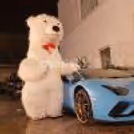 A live Polar Bear character bringing frosty fun to the party