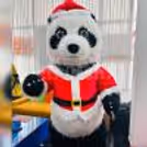A cute live Panda character bringing fun and smiles to the birthday bash
