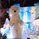A charming live Polar Bear character making every moment magical