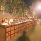 Lavish Celebration Feast — photo 1