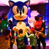 Create an action-packed birthday with a Sonic-themed party, designed to thrill young fans with high-speed fun and adventure
