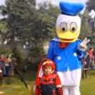 Quack up the fun at your child's birthday with a Donald Duck-themed party, featuring classic Disney charm and playful activities.