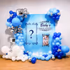Baby Boy's Name Revealing with CherishX Balloon Decoration.