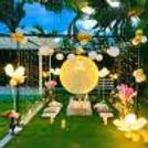 Under the Moonlight - Enjoy an unforgettable evening in a beautifully lit garden setting.