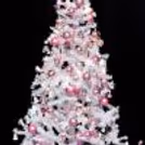 Get This Premium Tree