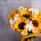 6 Sunflowers