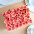 Prepare to be dazzled by a floral masterpiece