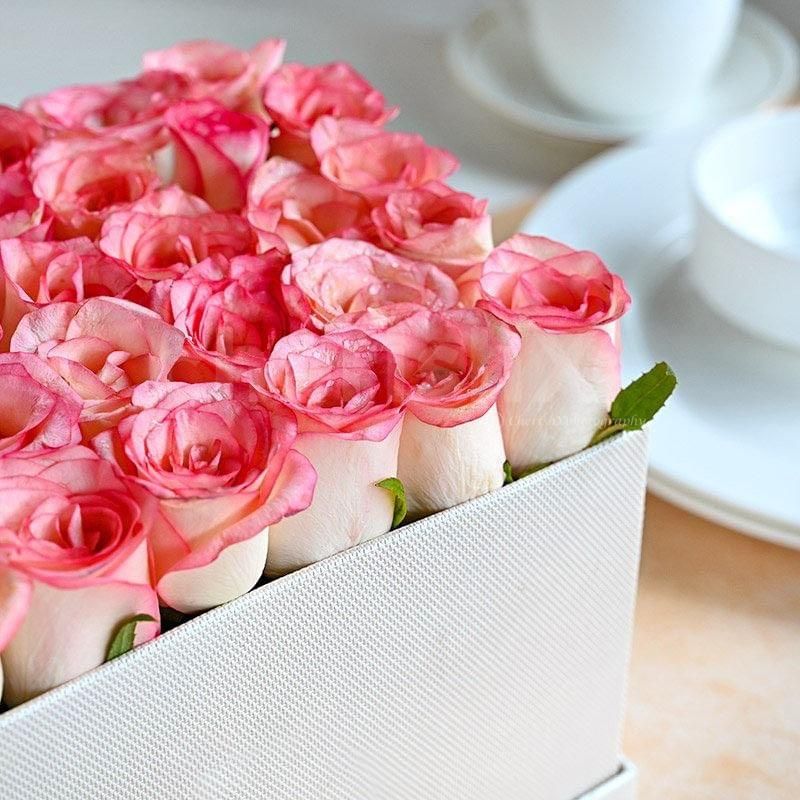 35 resplendent pink roses