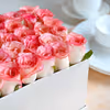 35 resplendent pink roses