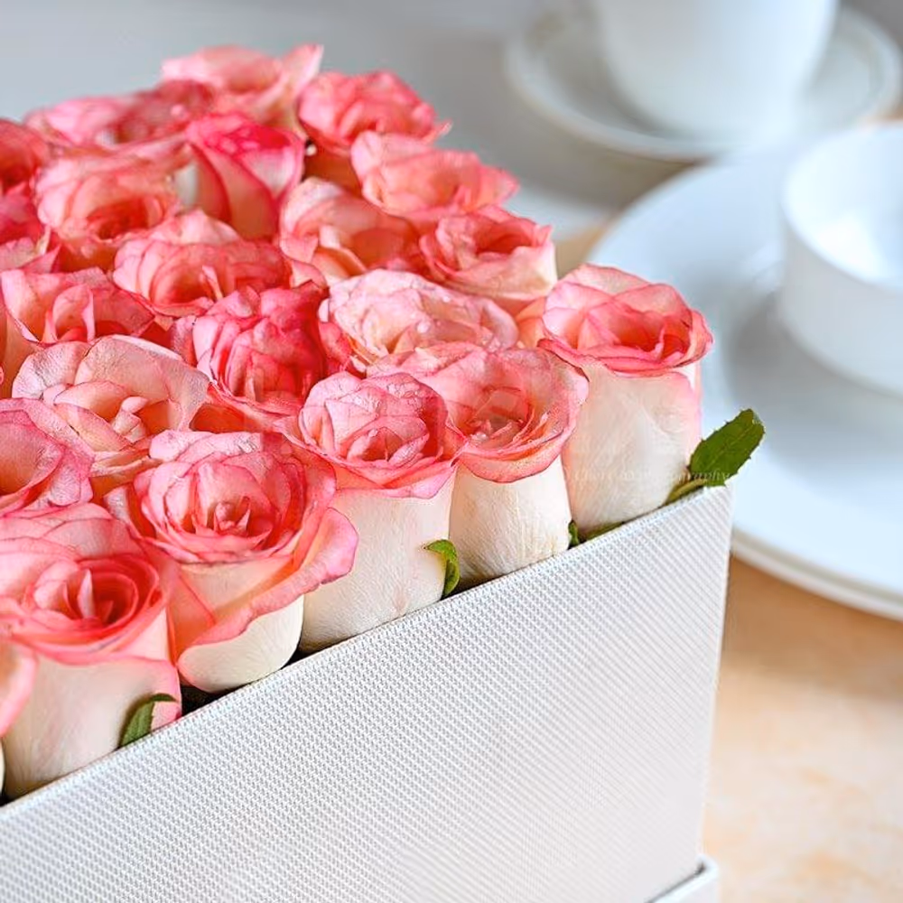 35 resplendent pink roses