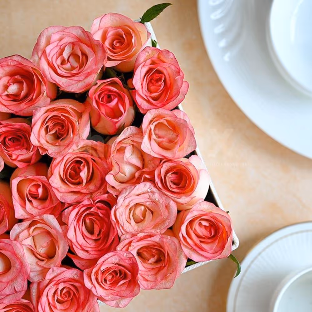 This stunning display is a testament