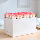 The white box
