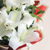 This elegant arrangement consists of four radiant white lilies