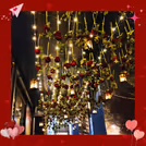 Enchanted Ceiling Decor