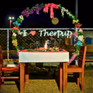 Date & Dine With Dogs — photo 2