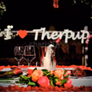 Date & Dine With Dogs — photo 6