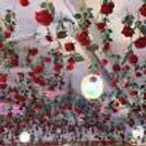 Roses cascade softly from above, turning the ceiling into a blossoming sky of Valentine charm.