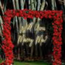 Warm white "Will You Marry Me?" neon signage glows against rich red florals.