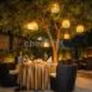 Ignite the Flames of Romance with our Captivating Decor and Enchanting Ambience.
