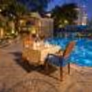 Where sparkling mocktails meet chef-crafted flavors — poolside perfection at Jaypee Siddharth.