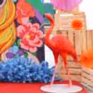 Larger than life flex banner with colourful design adds joy to the Holi party