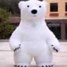 Live polar bear mascot for your birthday party