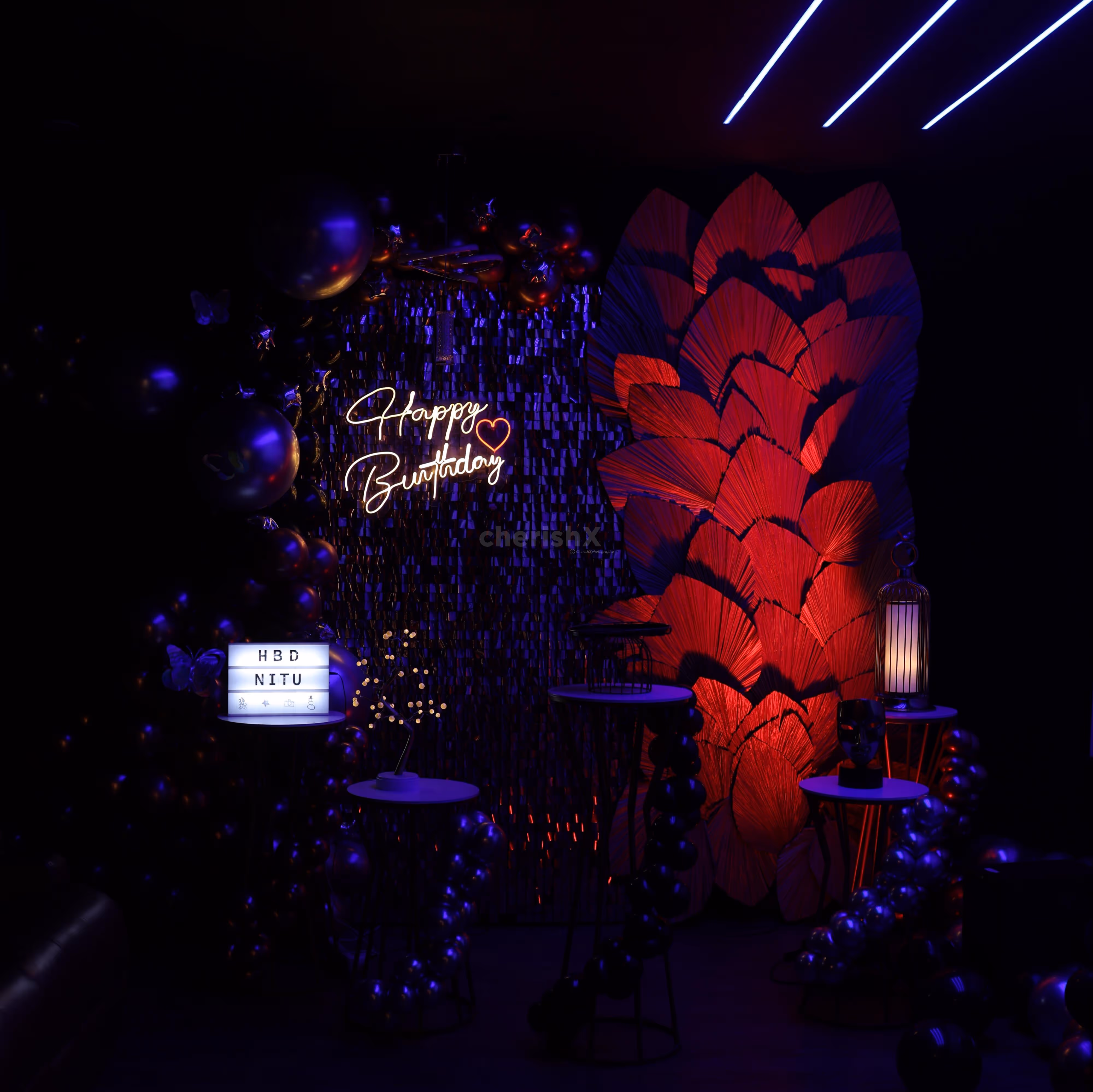 Luxury-inspired movie setup vibe with balloons, lights, and a big screen.