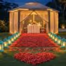 Beautiful Outdoor Dinner Setup With Soft Lights, Music In Backdrop And Greenery