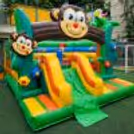 Jungle themed bouncy for kids