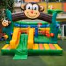 Cute Monkey bouncy with slider