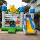 Jumping Dragon Castle house