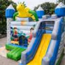 Jumping Dragon Castle Bouncy — photo 3