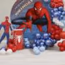 Spiderman Sunboard Cutout With Stand Is A Life-Like Frame That Entices Kids And Adults Both.