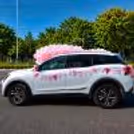The Reason For Celebration Is Stylishly Announced With A "It's Girl" Paper Cutout With Pastel Pink And White Balloons.