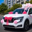 The Pink Ribbon And Pink Net Fabric Bow Will Make The Welcome Baby Photographs Even More Beautiful.