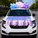 Pastel Balloons On The Car Top Create A Soft, Dreamy Feel For The Baby's Welcome Home.
